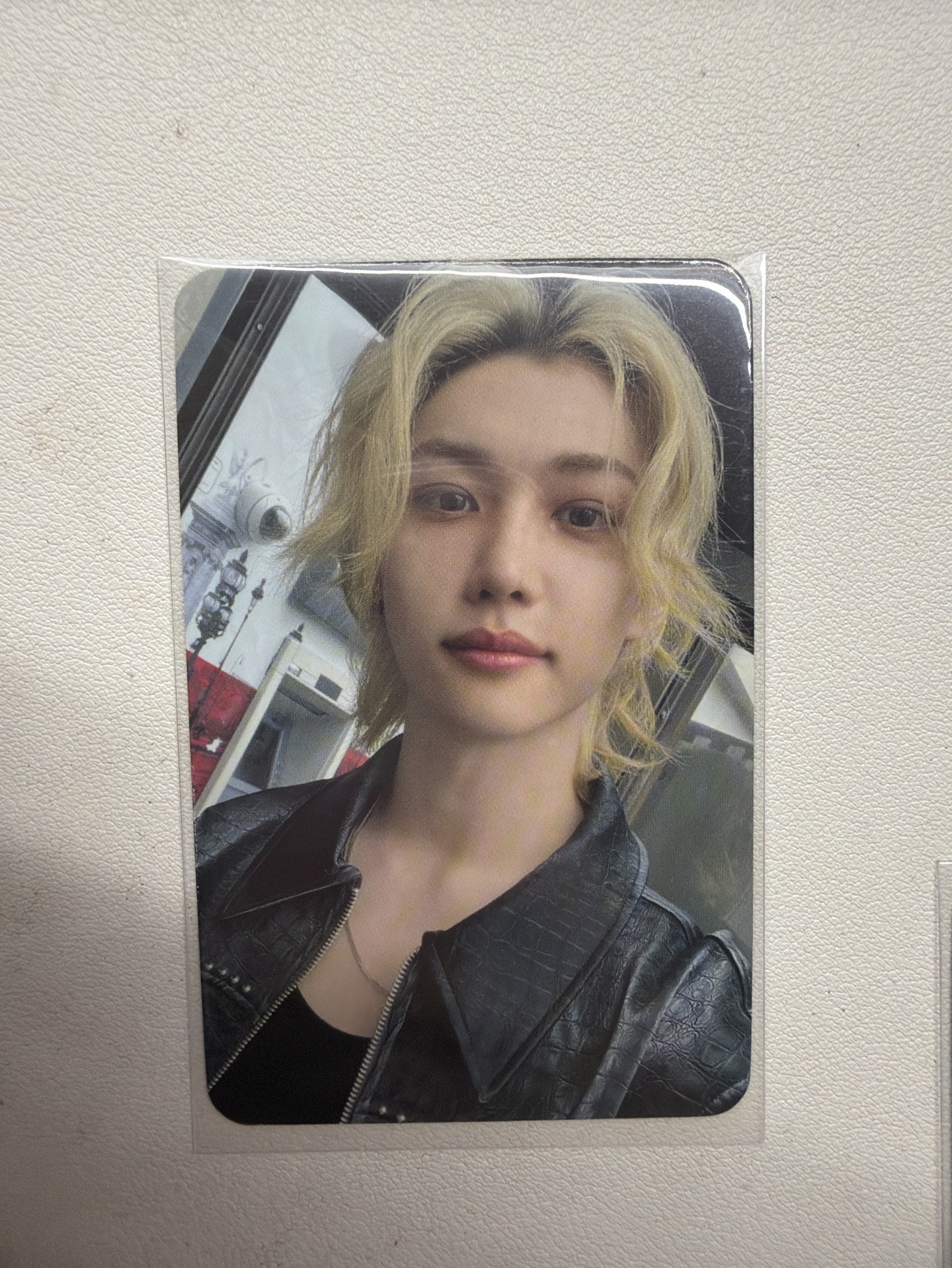 五星星河1.0菲 中背：下輩子做你的小貓