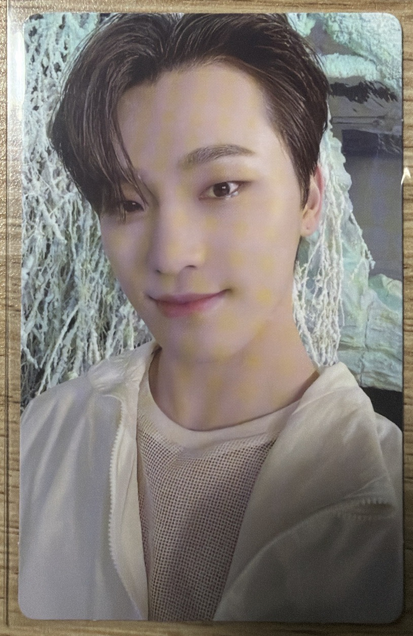 SECTOR17 WVS Dino小卡