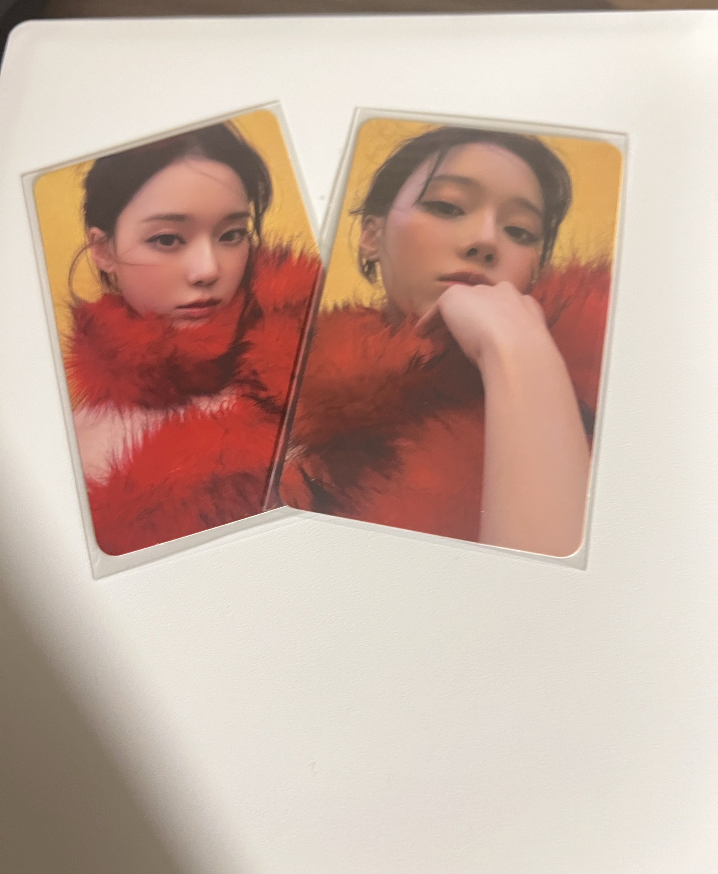 Rich man 火鶴冬專卡兩張