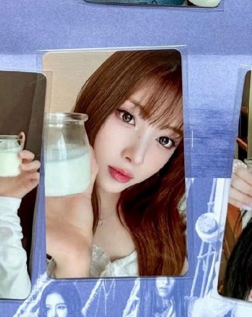 牛奶布丁中簽友