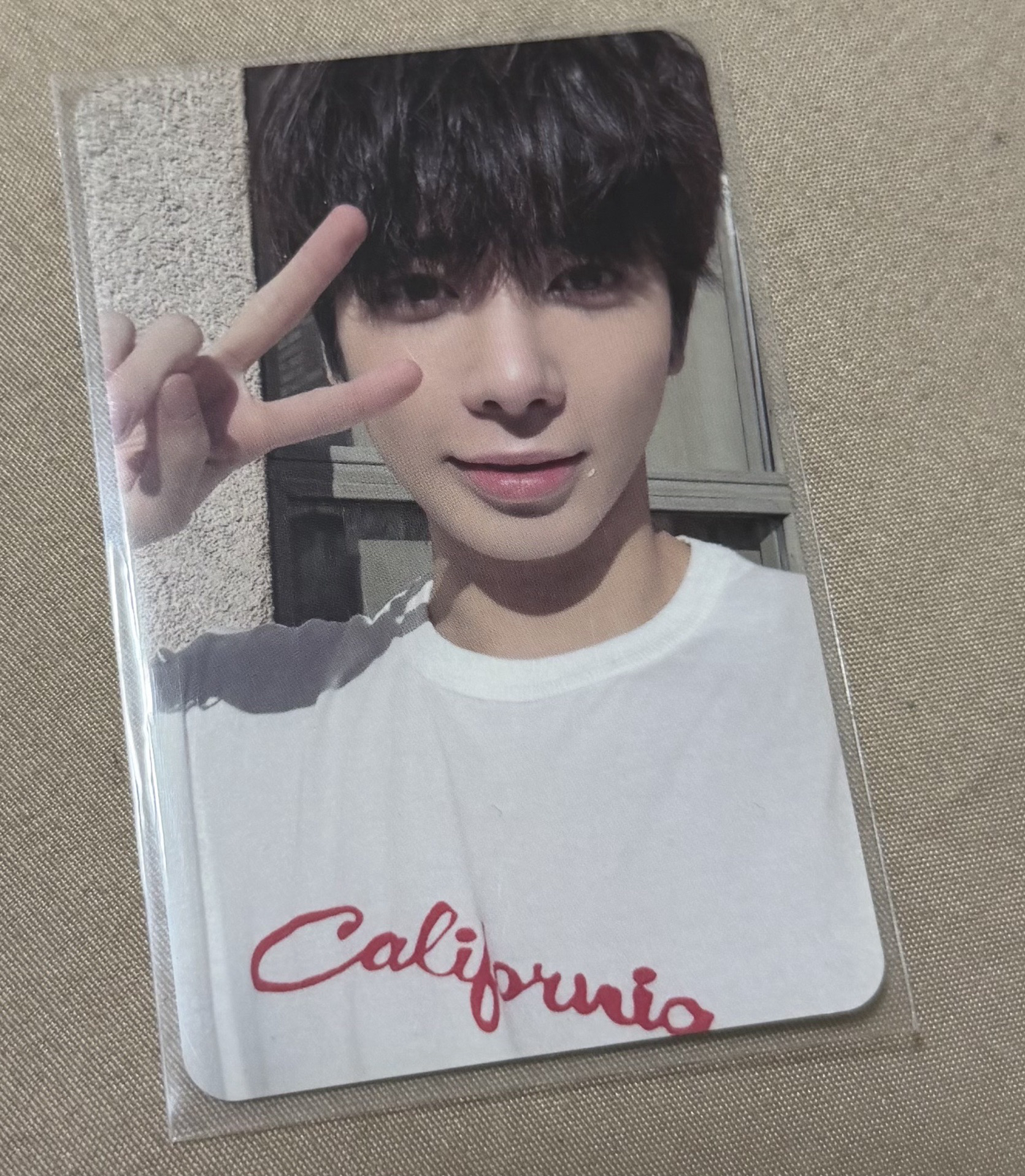 銅板價顯🐱✌🏻