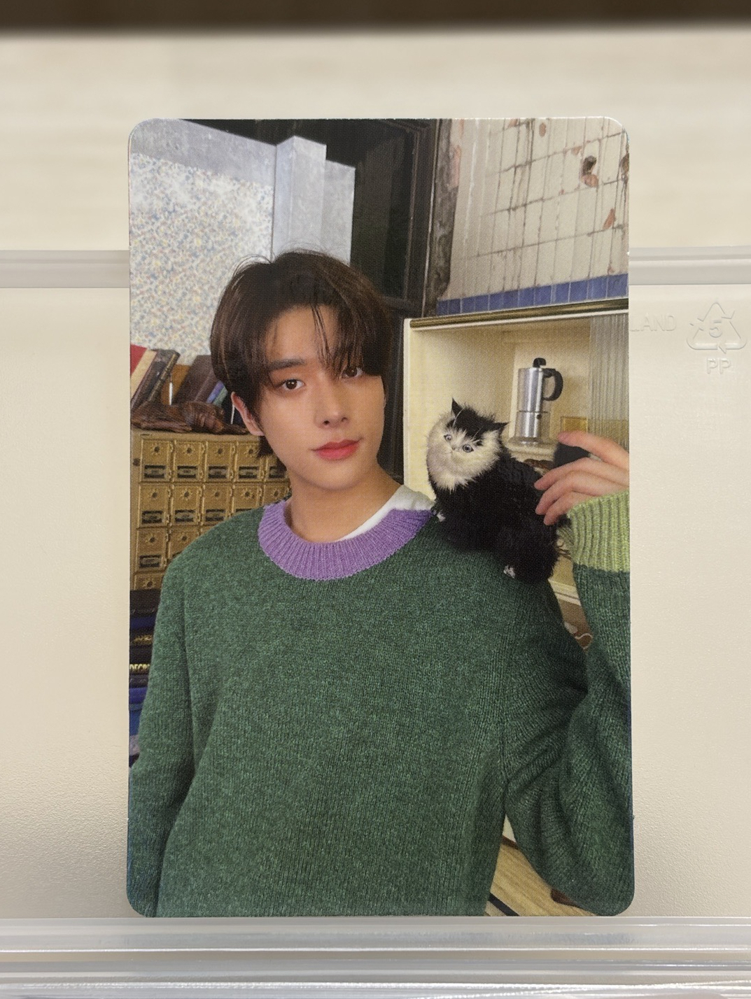 沈載倫正規一專卡 閃卡