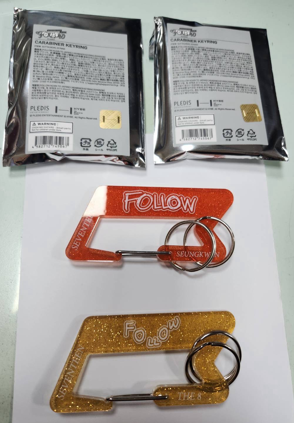 Follow again japan 登山扣（寛.八）