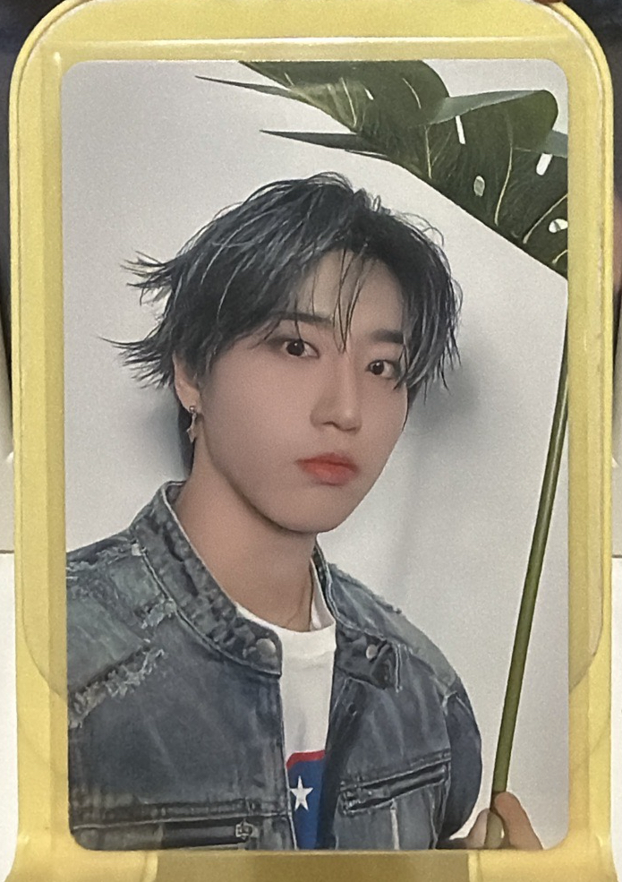 場限卡（荷葉）