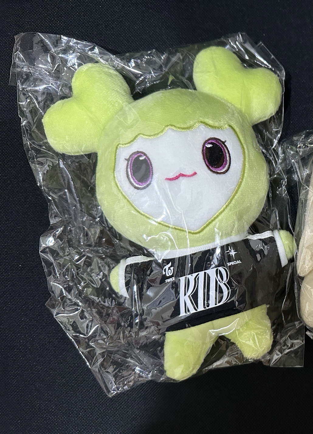 TWICE RTB LOVELY 娃娃 定延款