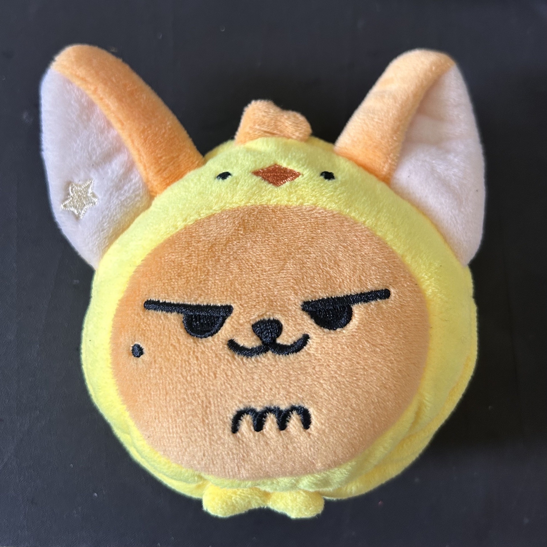 PPULBATU HWANGCHOON Coin Pouch 黃春零錢包