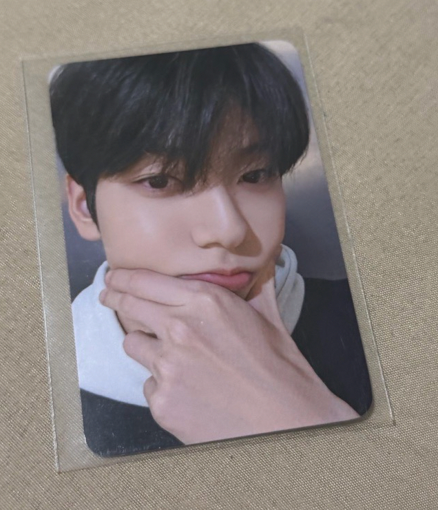 DMM1.0 阿貢包彬寧🐰🐧🫴🏻