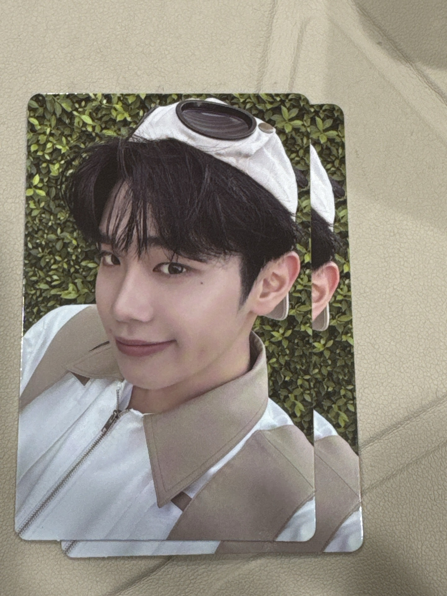 金泰來迷五專卡