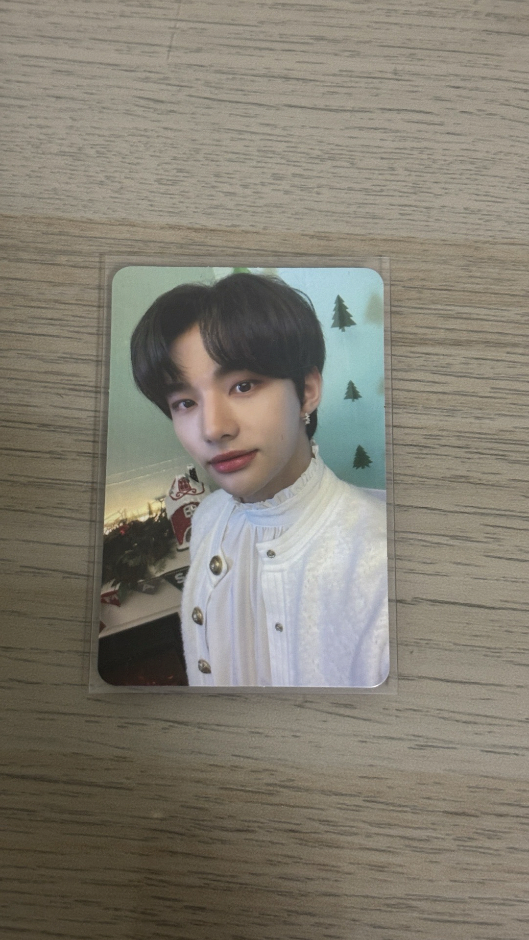 聖誕專公園特典