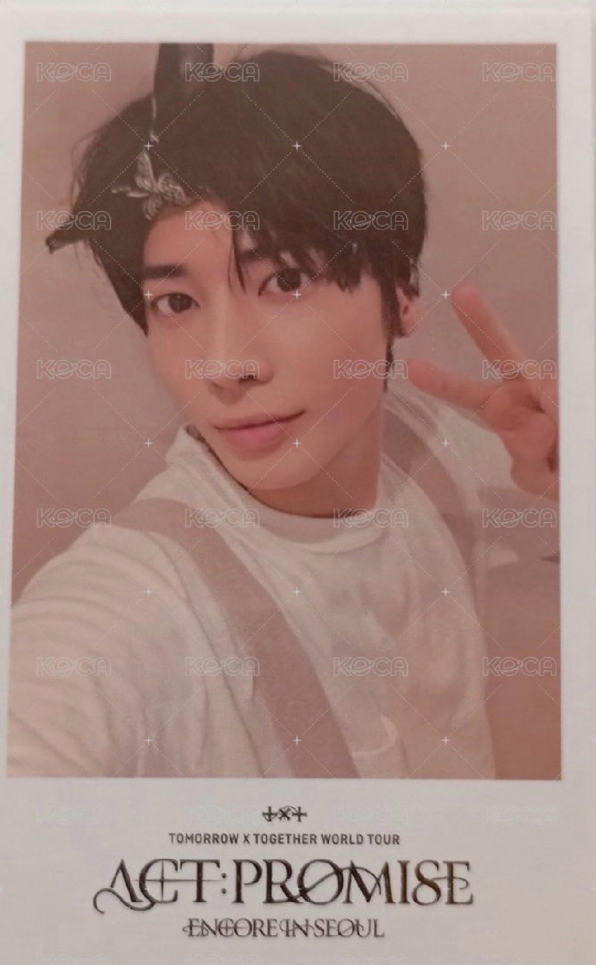 24首爾安可DVD特典