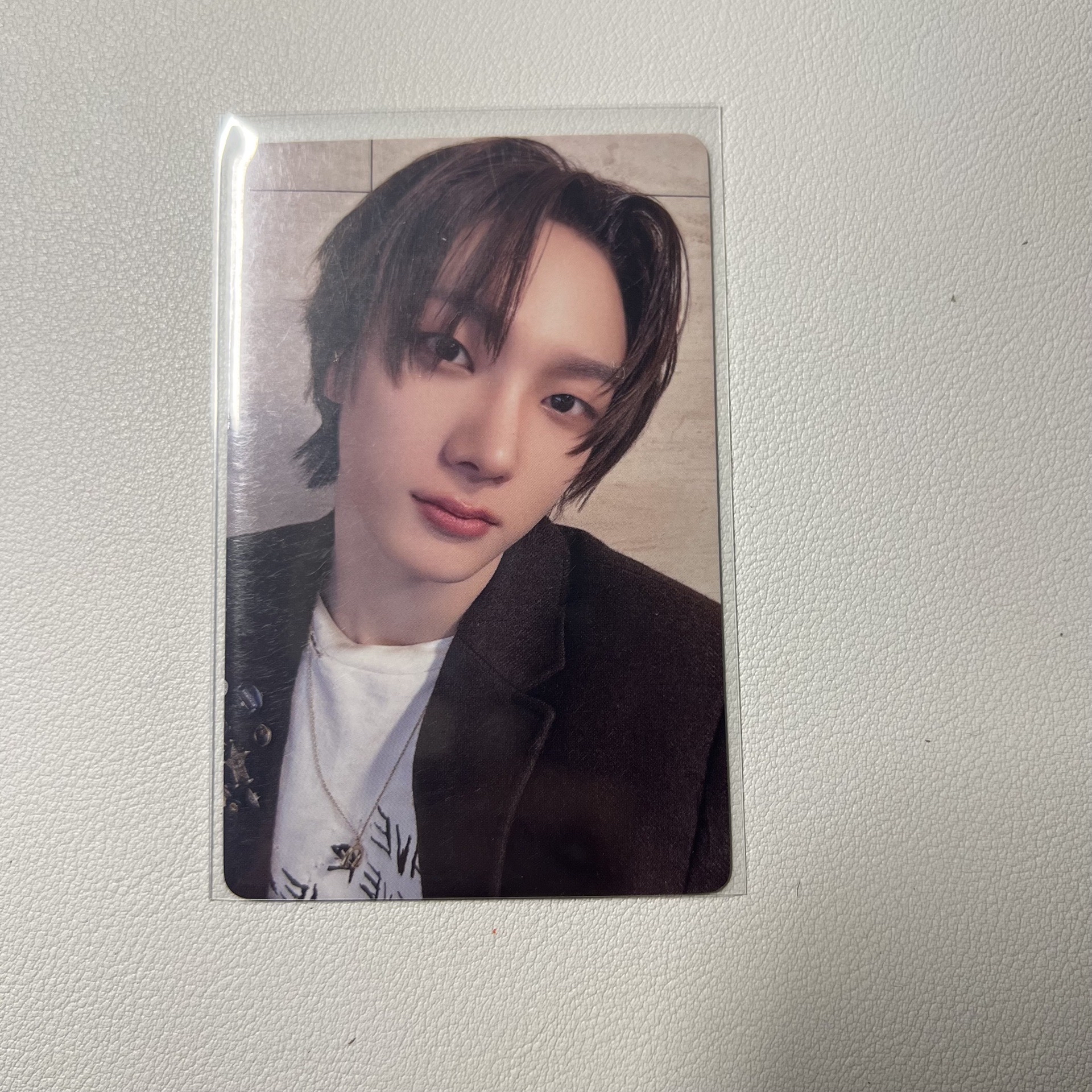 江原道小貓中背