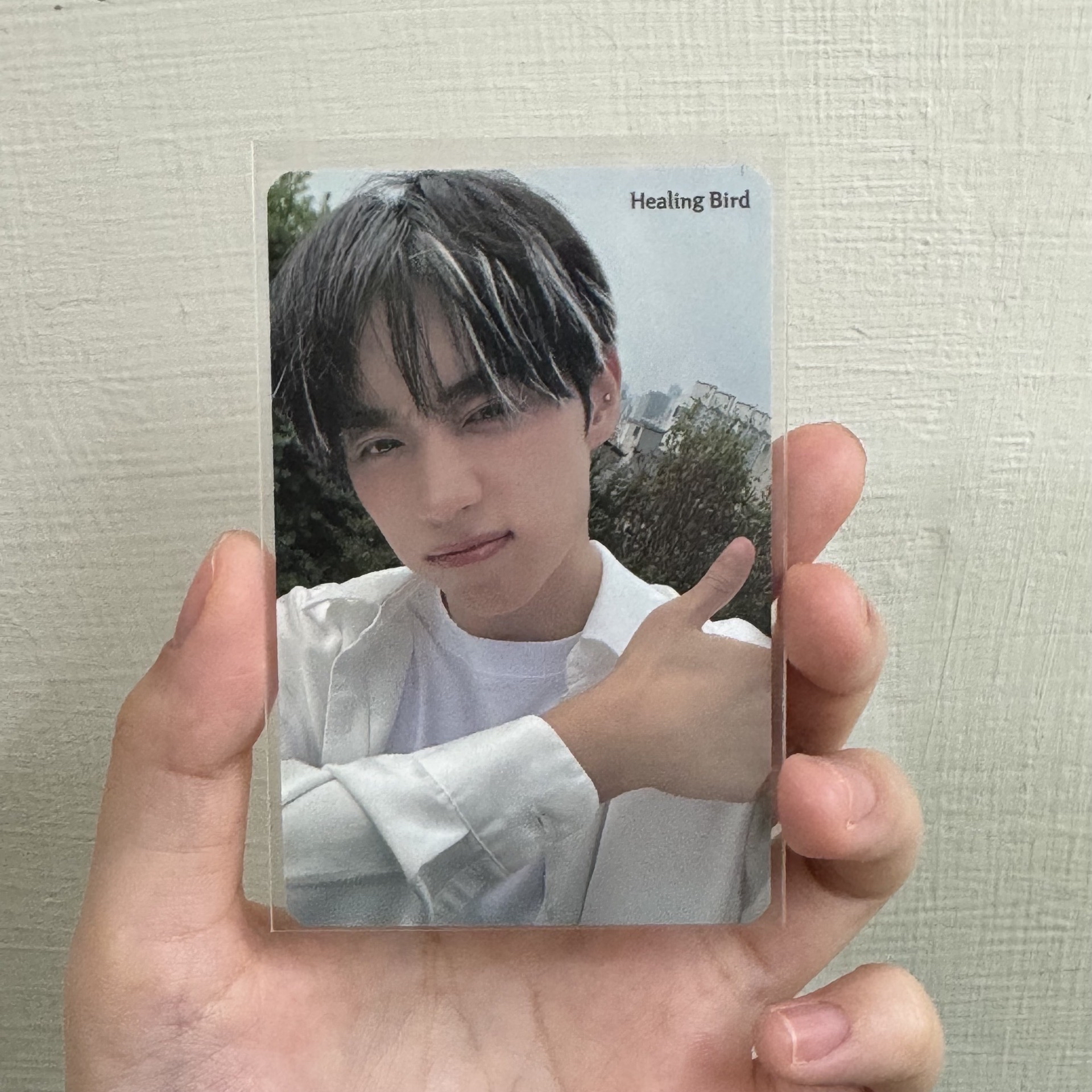 Healing Bird 代言卡 1.0
