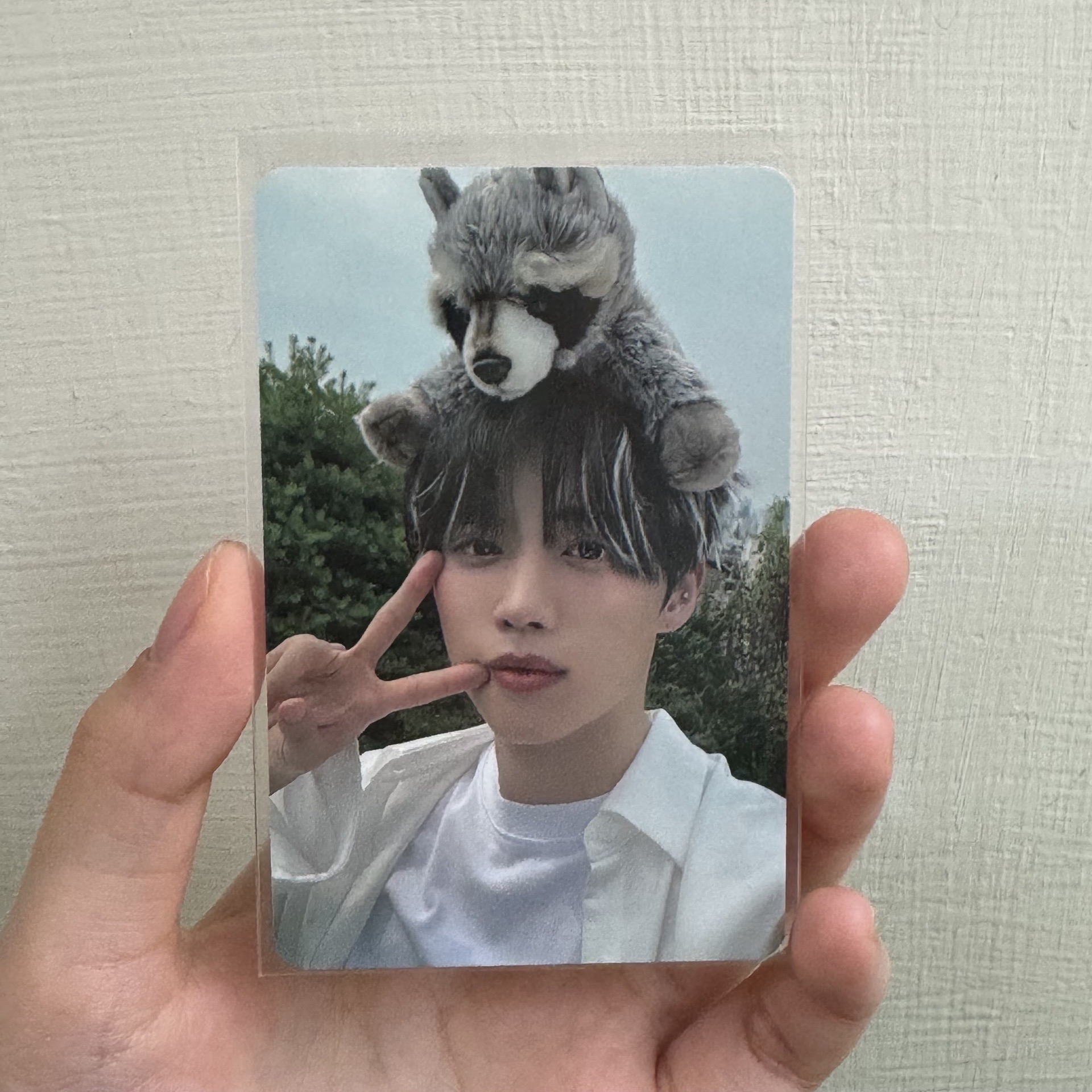 Healing Bird 代言卡 1.0