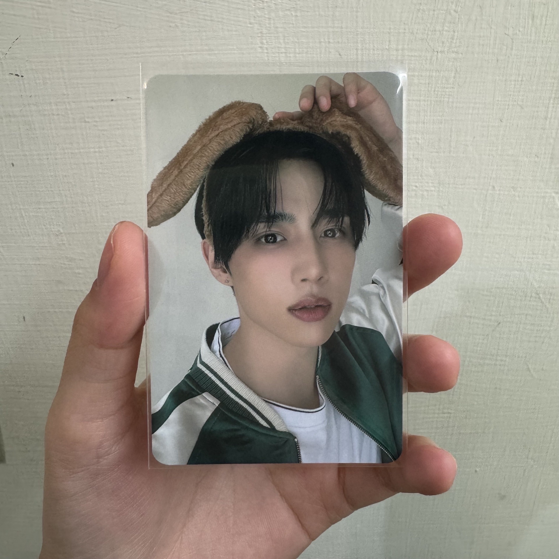 Healing Bird 代言卡 2.0