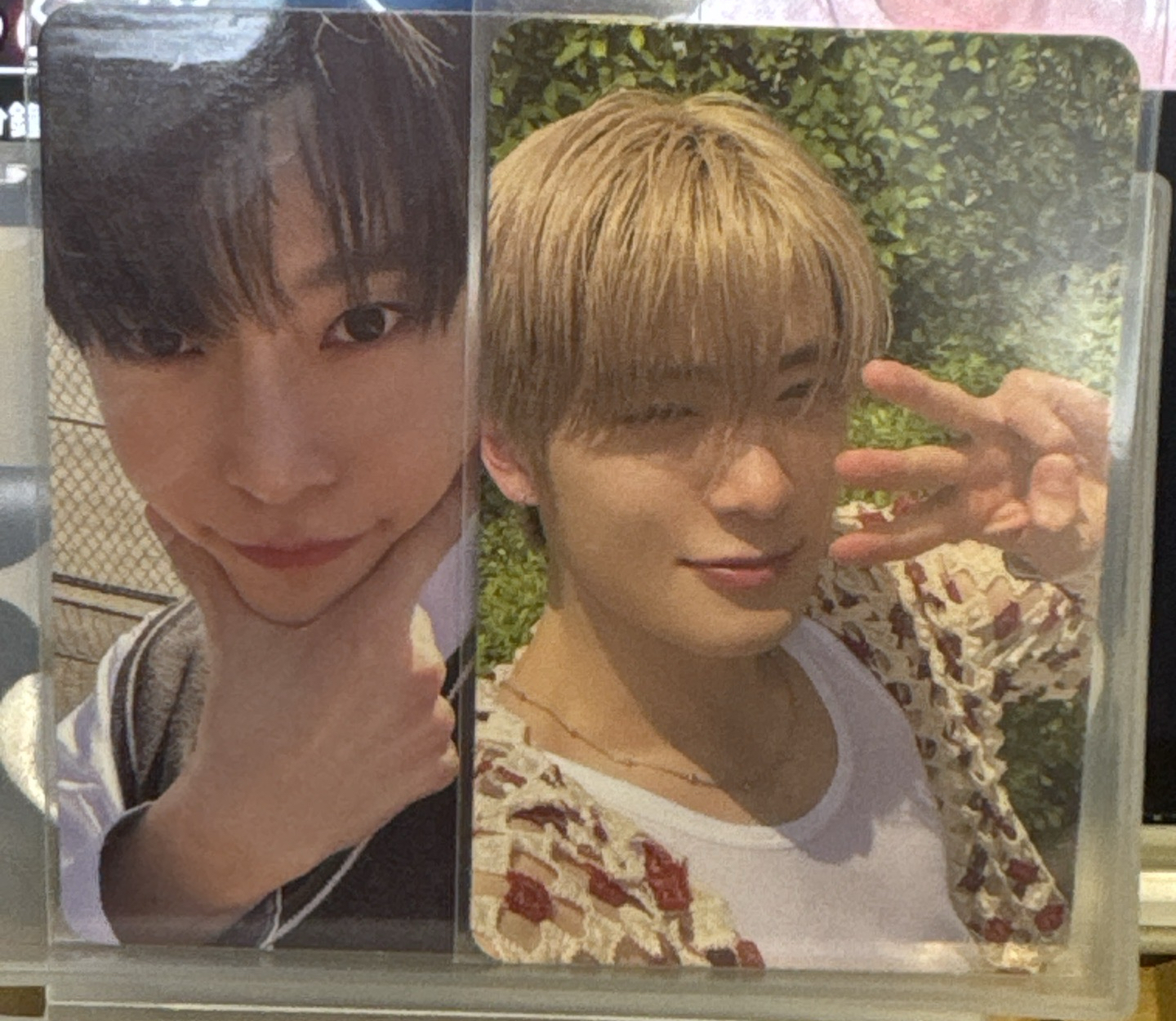 NCT DOJAEJUNG 小卡