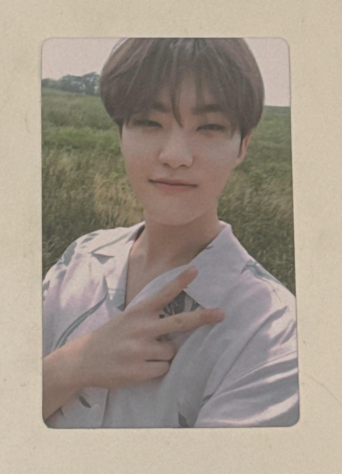 專卡 榮（現貨）是材質最好的那批專卡