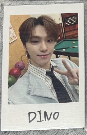 seventeen 日本fm holiday dino拍立得