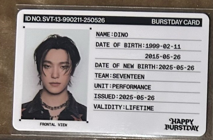 seventeen dino 證件照小卡