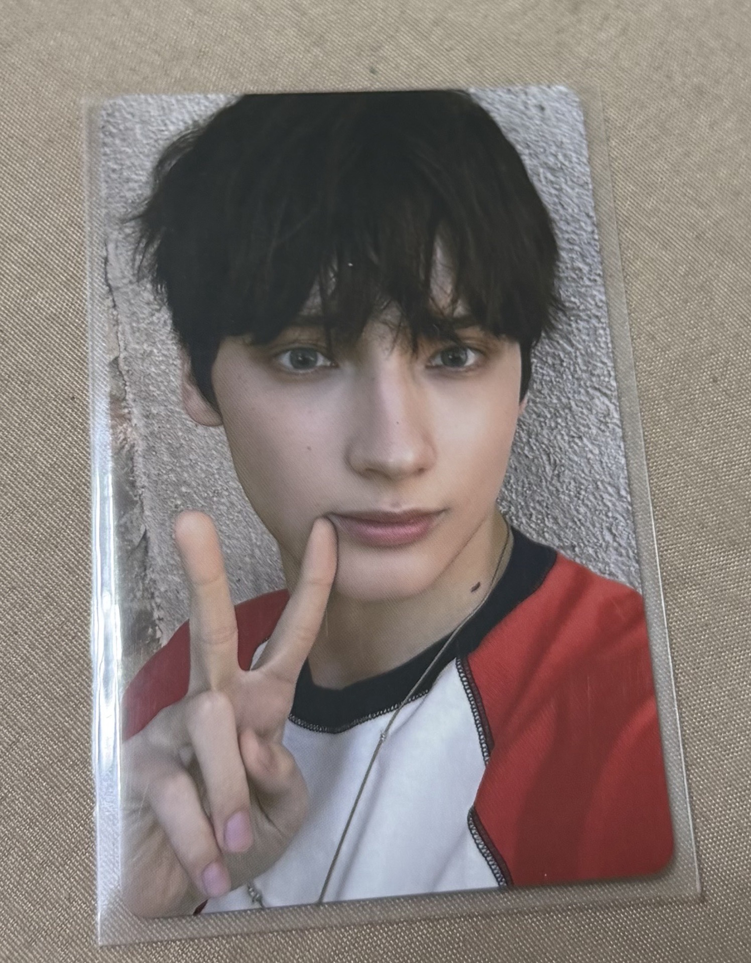 愛之語日咖/專卡寧🐧✌🏻（合賣）