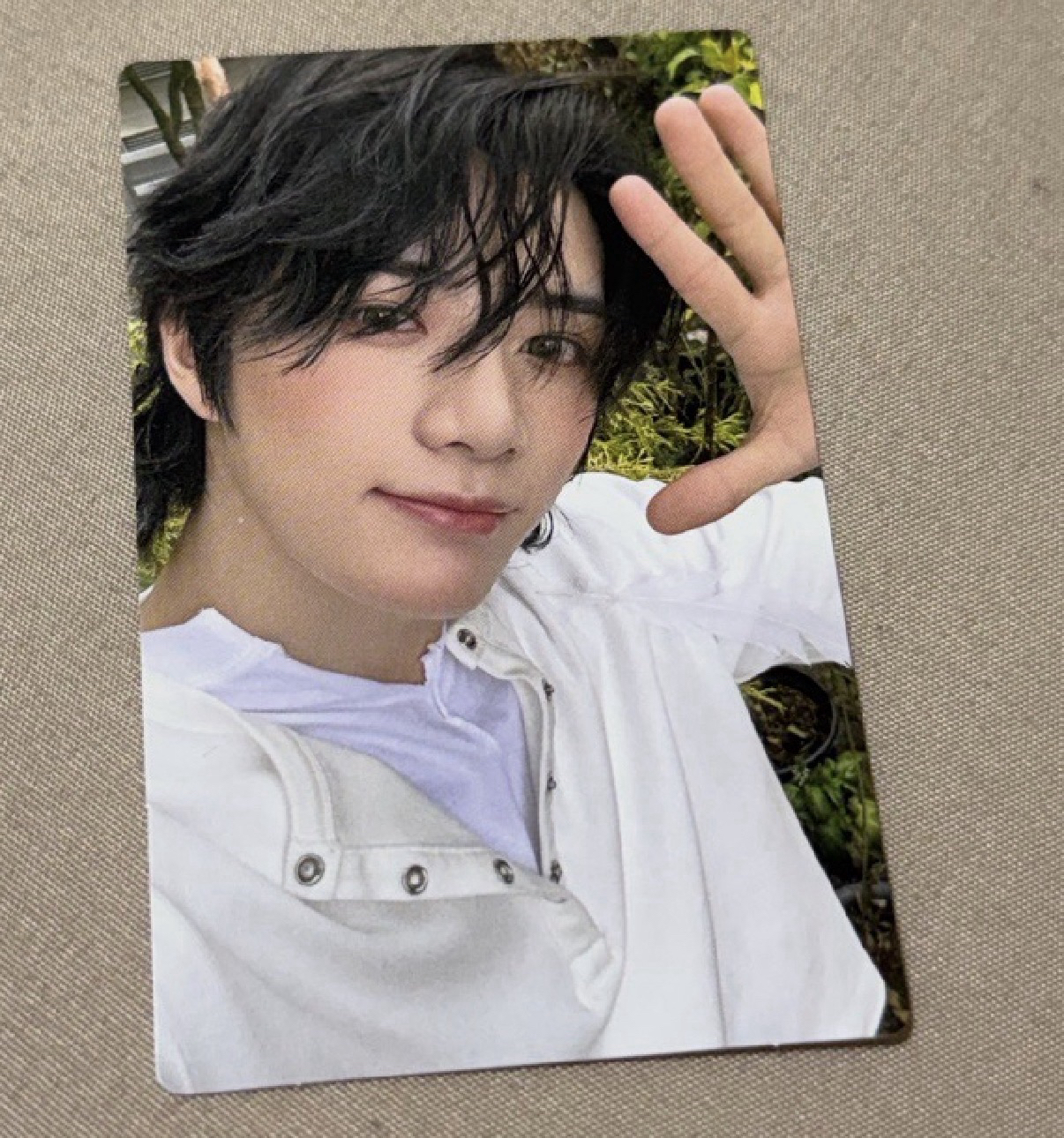 STARKISSED 遮太陽