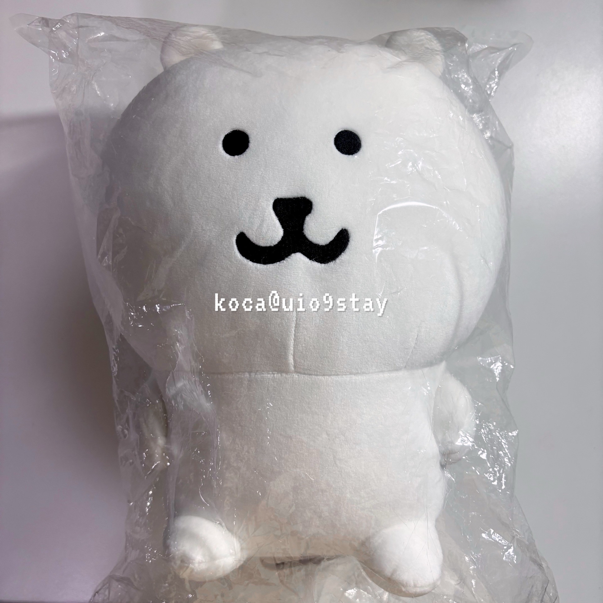 自嘲熊 NAGANO Jokebear M號娃娃