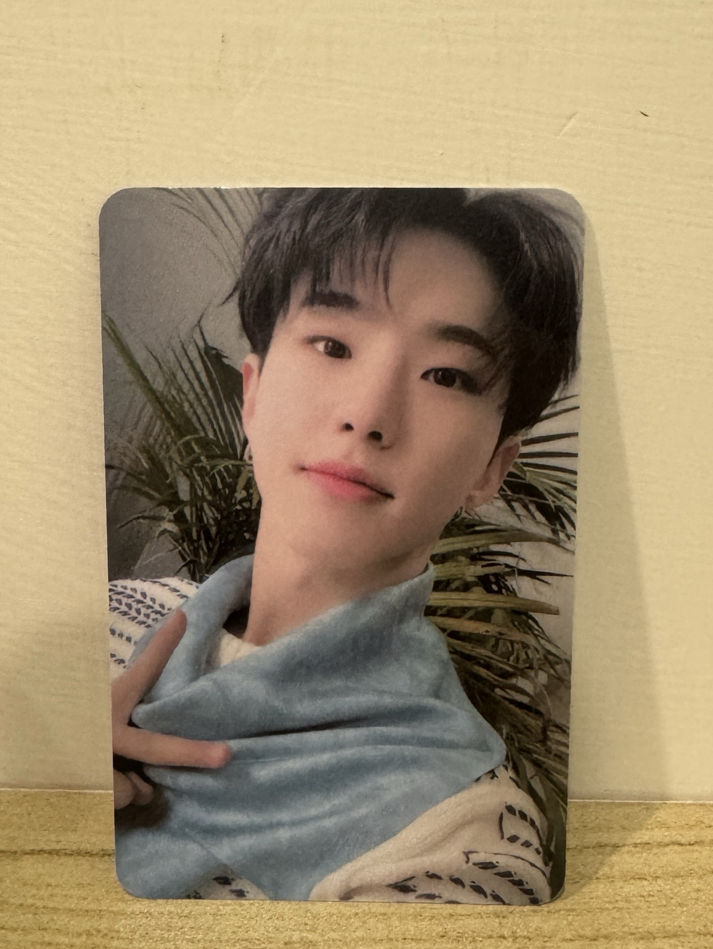 SEVENTEEN 迷8 權順榮 