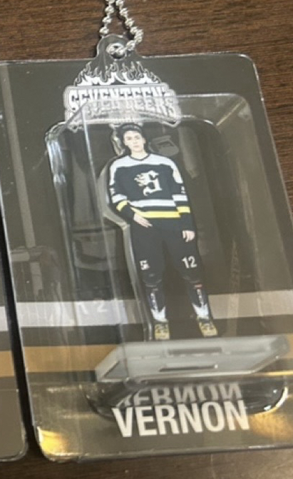 seventeen home Vernon 人形吊飾