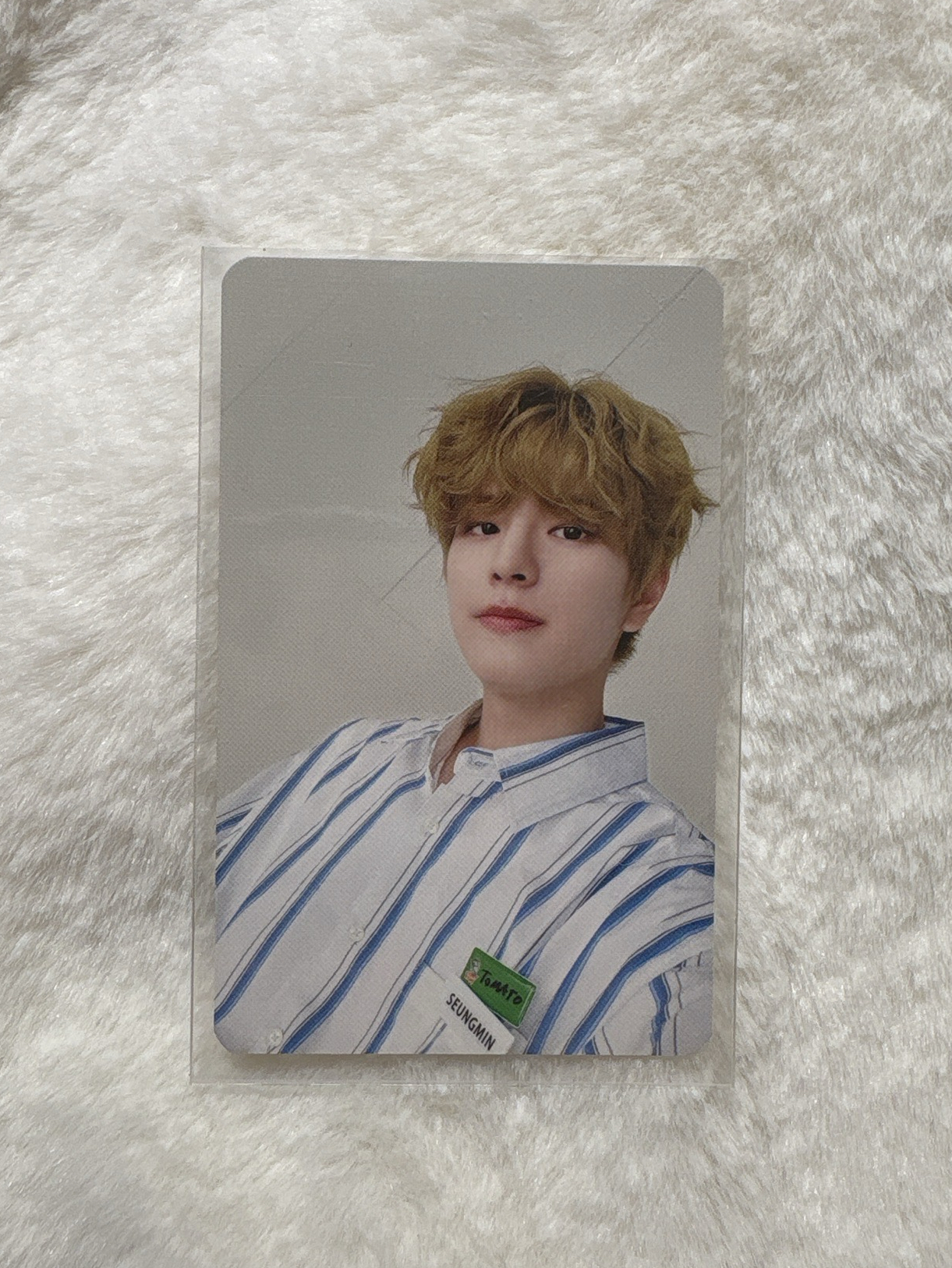 5星蛋巡 番茄玟