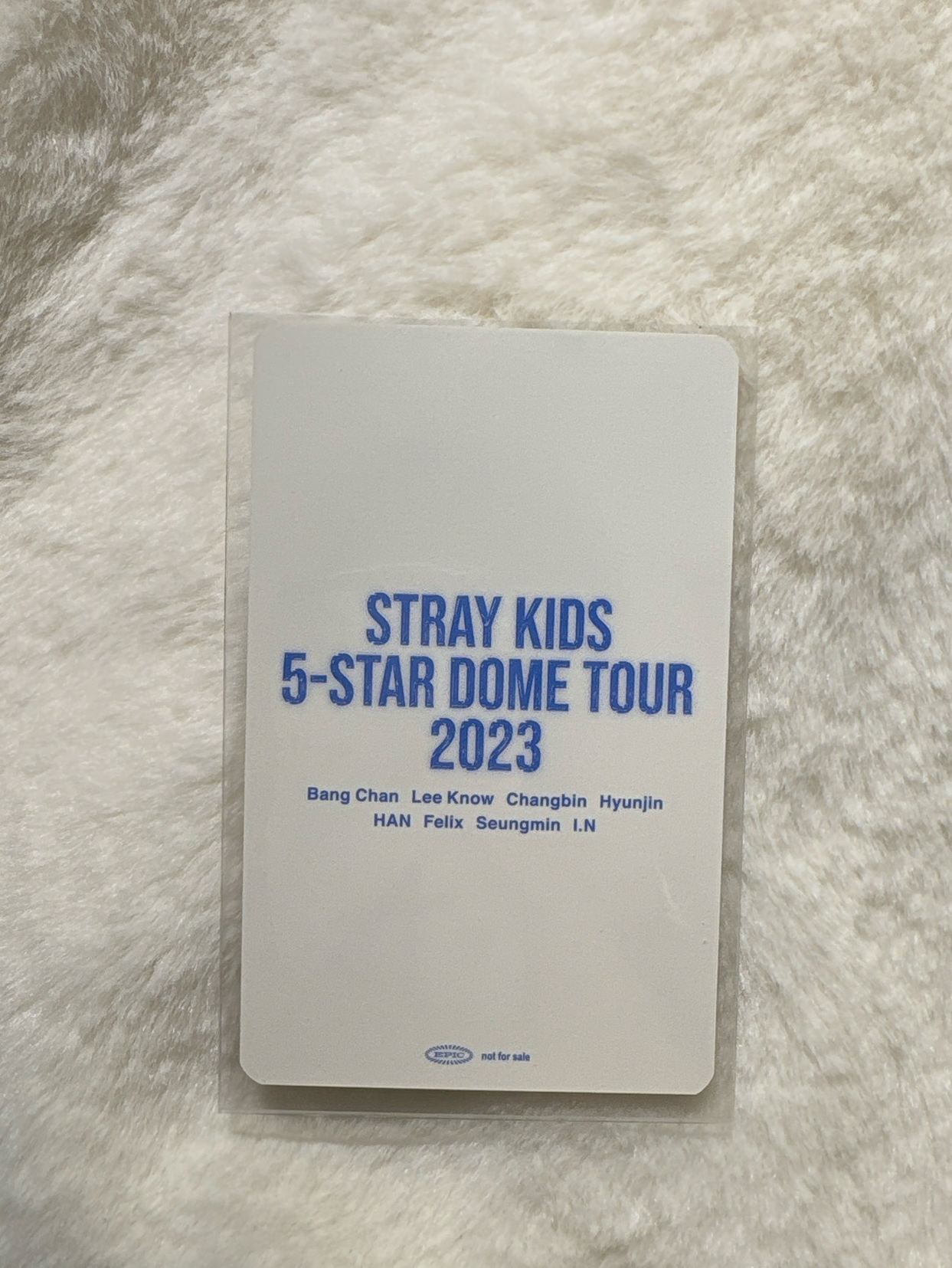 5星蛋巡 番茄玟