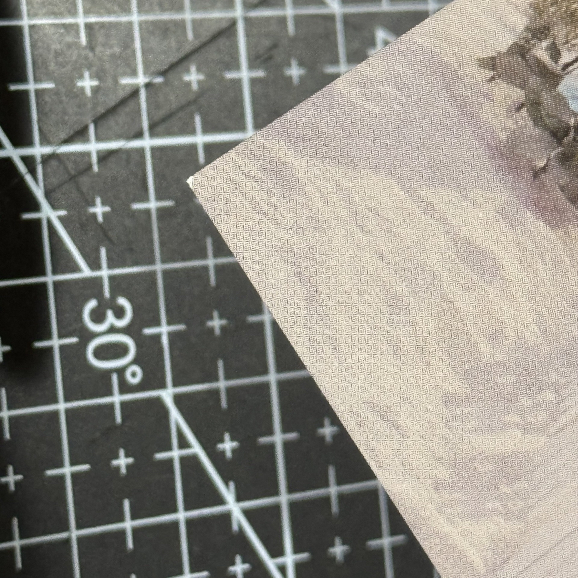 DINO 精選專美版親簽