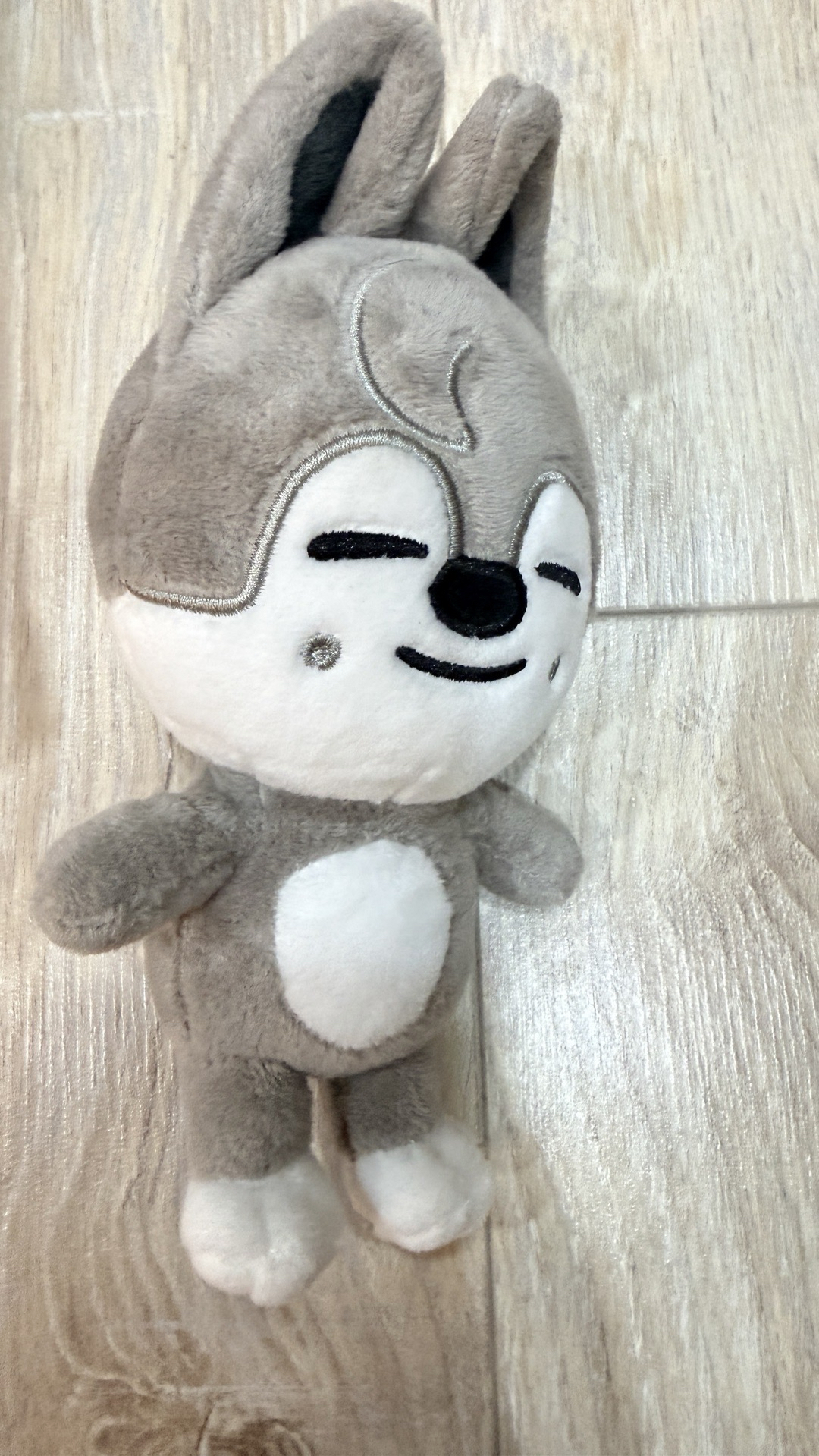 燦 飯咪15公分娃