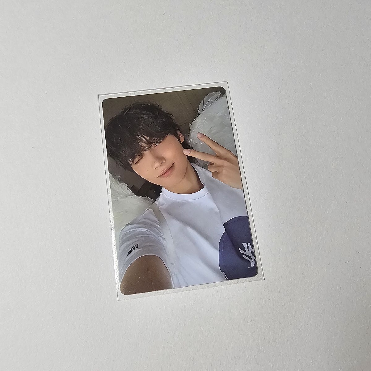 迷七 Merch 專卡 休寧