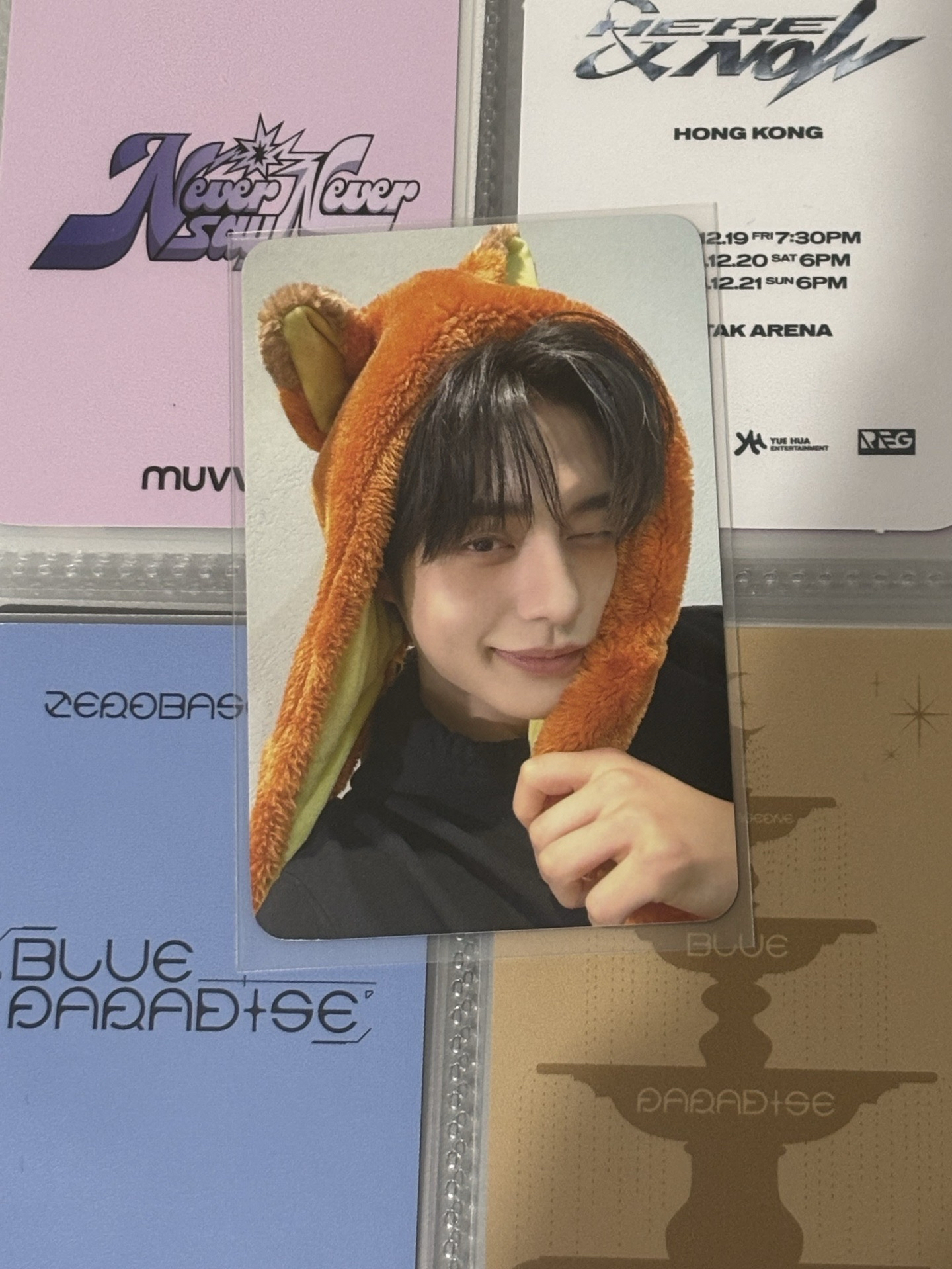 正一 WM動物方程式 雄