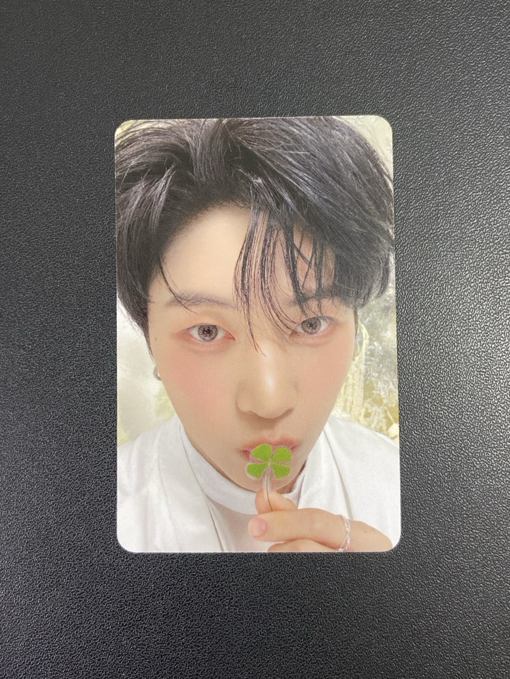 迷五｜sr幸運草修（中背）