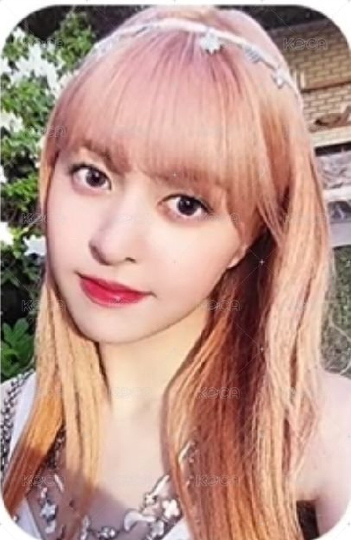 仲夏夜 專輯卡 普版 Forest 專卡莉