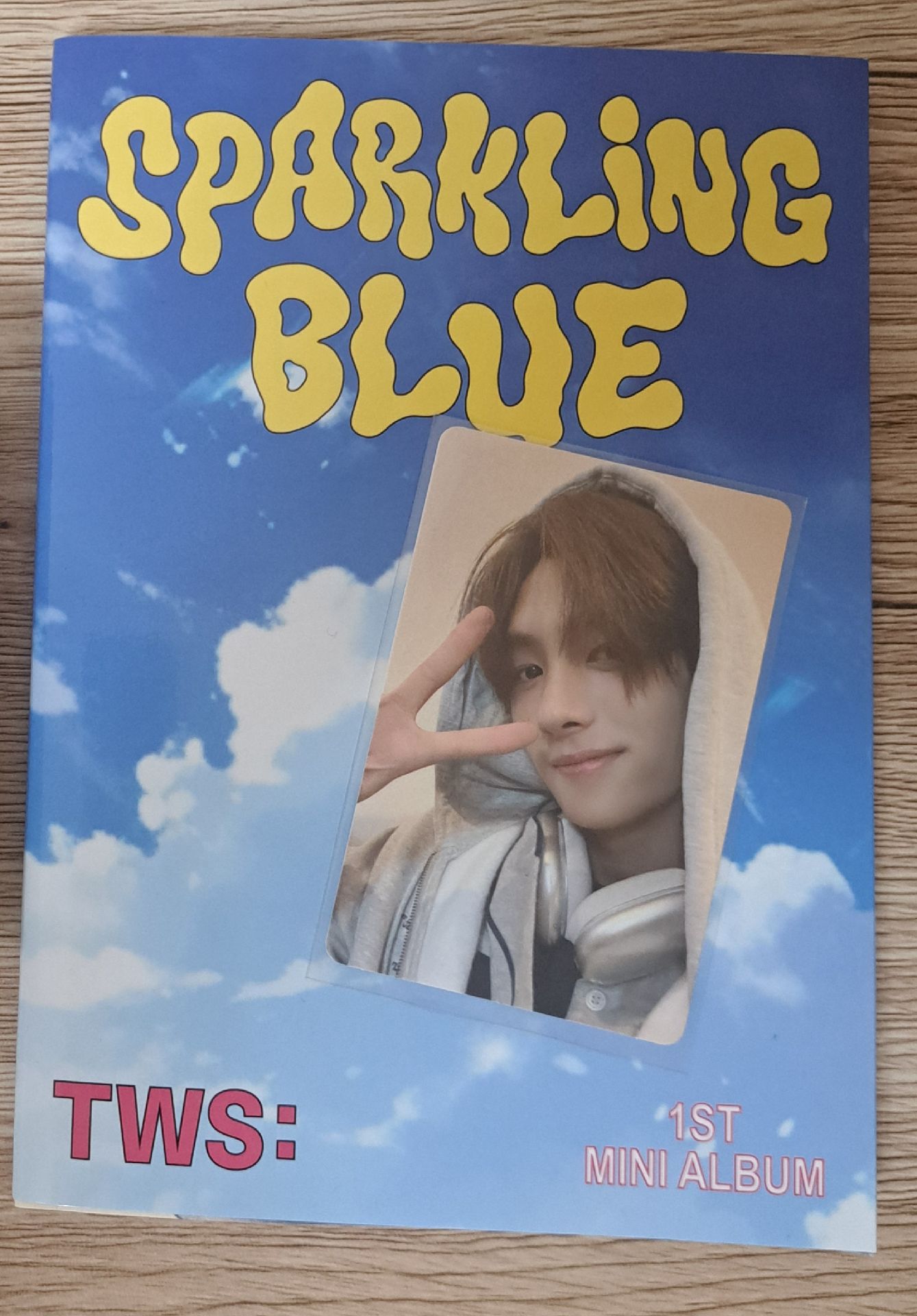 TWS 迷一電子全專  英宰