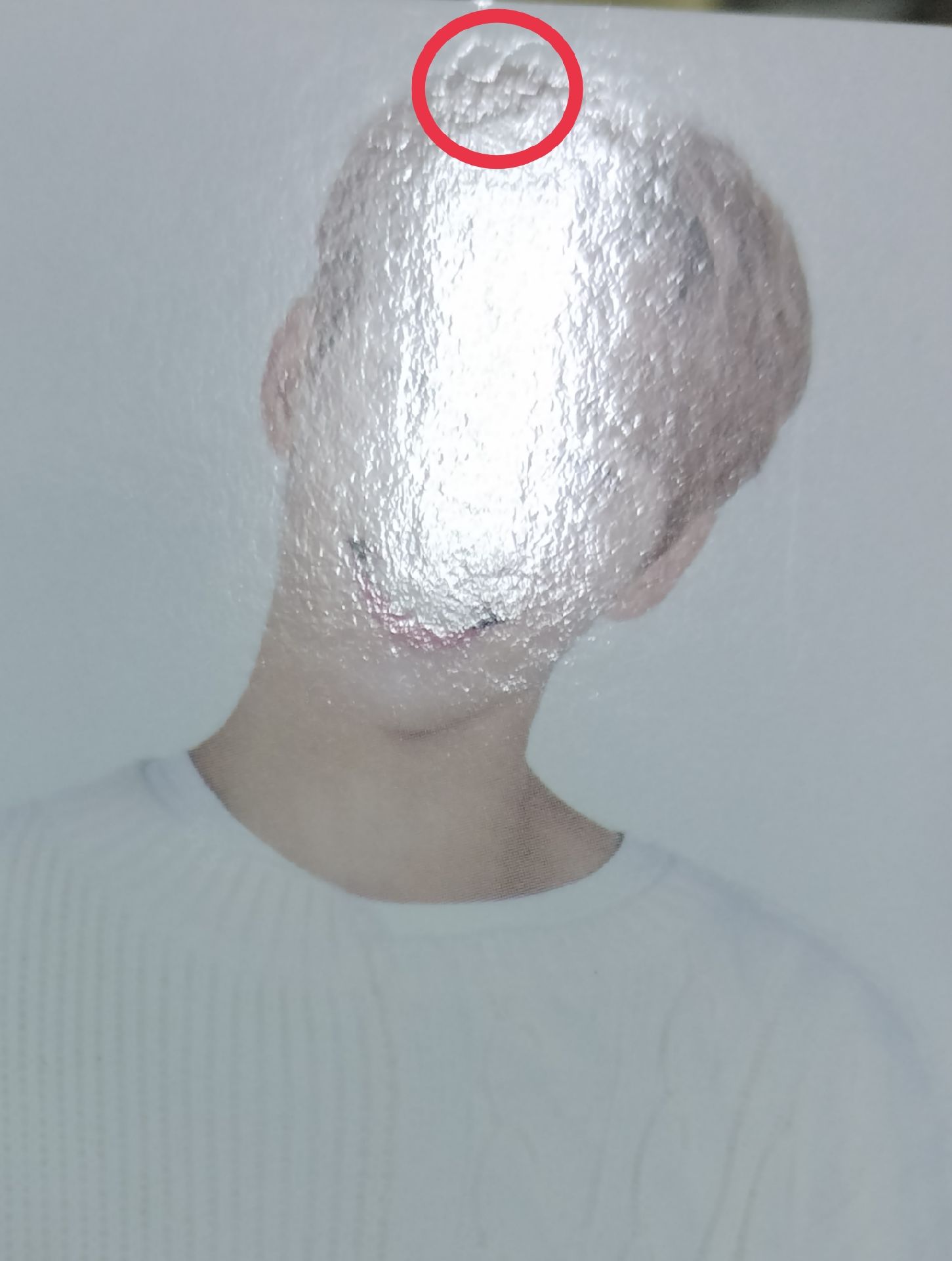 20克拉島 隨機卡 卡包卡 碩寛 奎碩