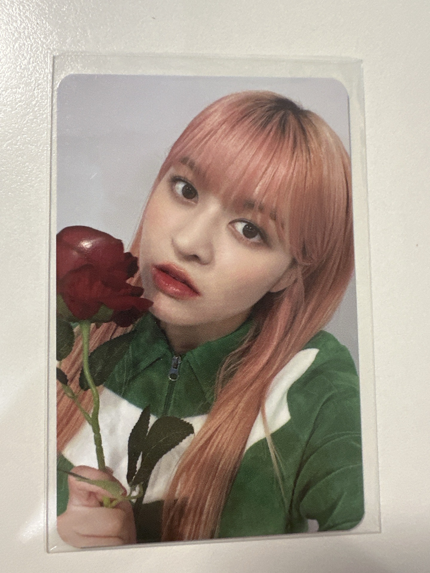 NMIXX 現貨 MS 玫瑰 小卡 簽售卡 莉