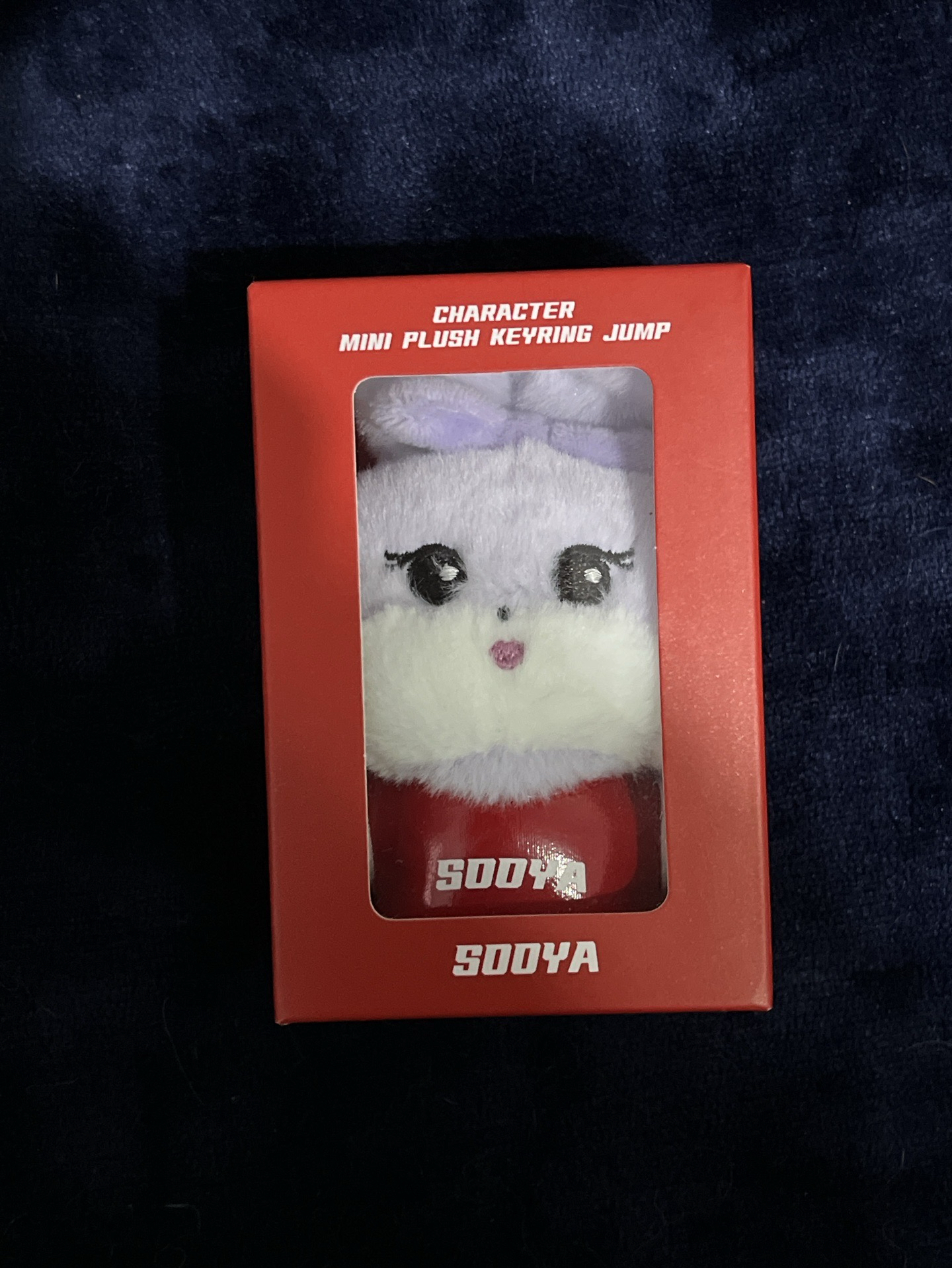 BLACKPINK Jump 微風快閃