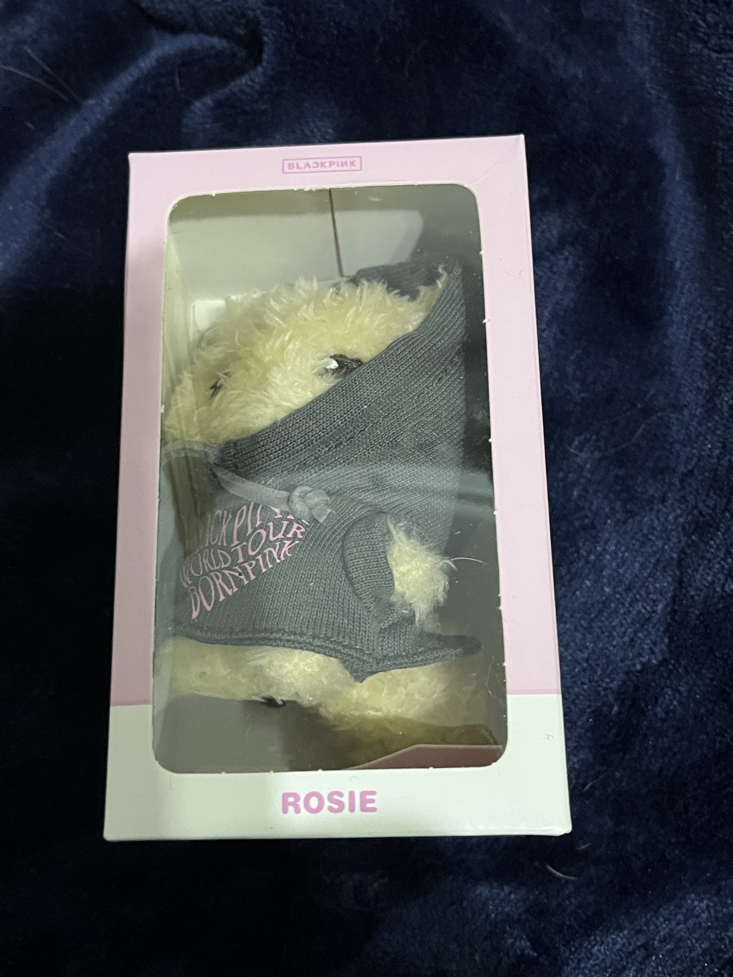 BLACKPINK 2巡 Rosé鑰匙圈 帽T娃