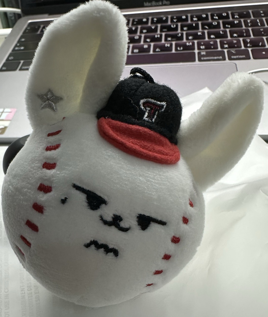 棒球大頭春（僅拆檢）