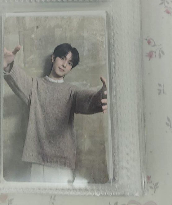 崔立于 Drawing Yu 卡包 小卡