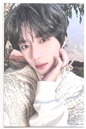 杋圭24粽卡（有損）