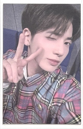 太顯23安可粽卡