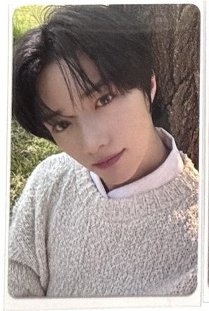 杋圭25日巡粽卡