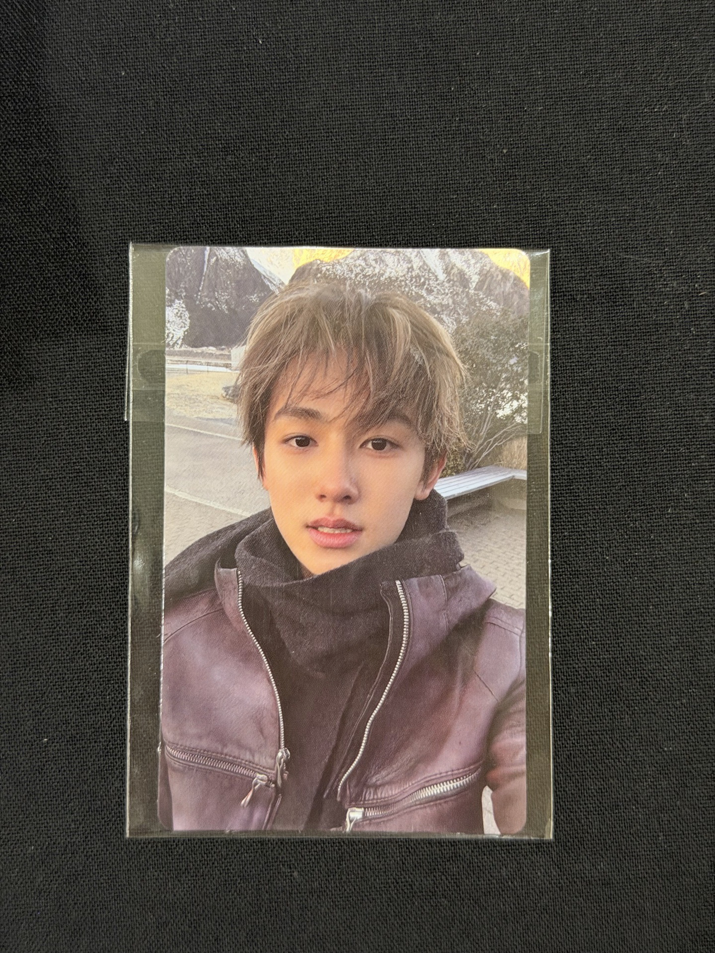 迷一 wvs 2.0 雪地玹