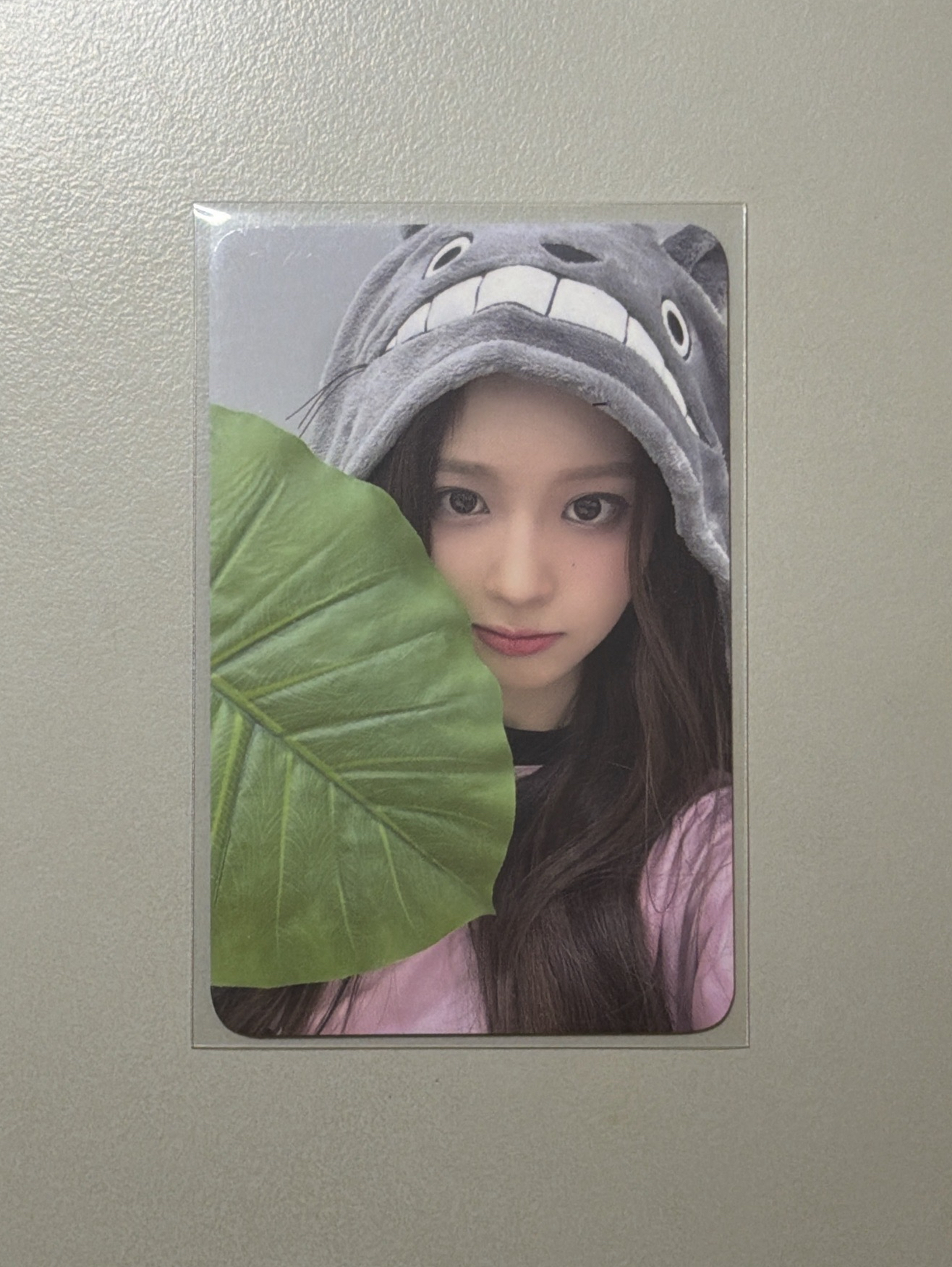 NMIXX 仲夏夜 EL 線下 龍貓薛