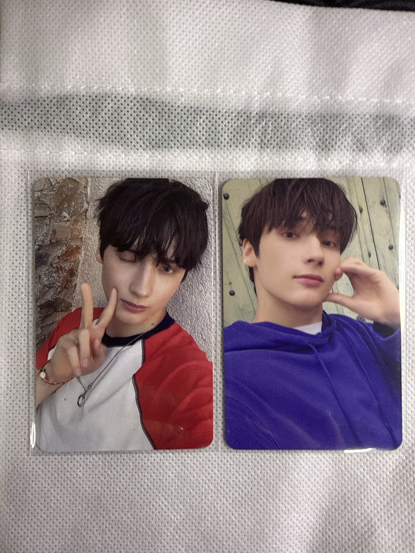 愛語 專卡 休寧