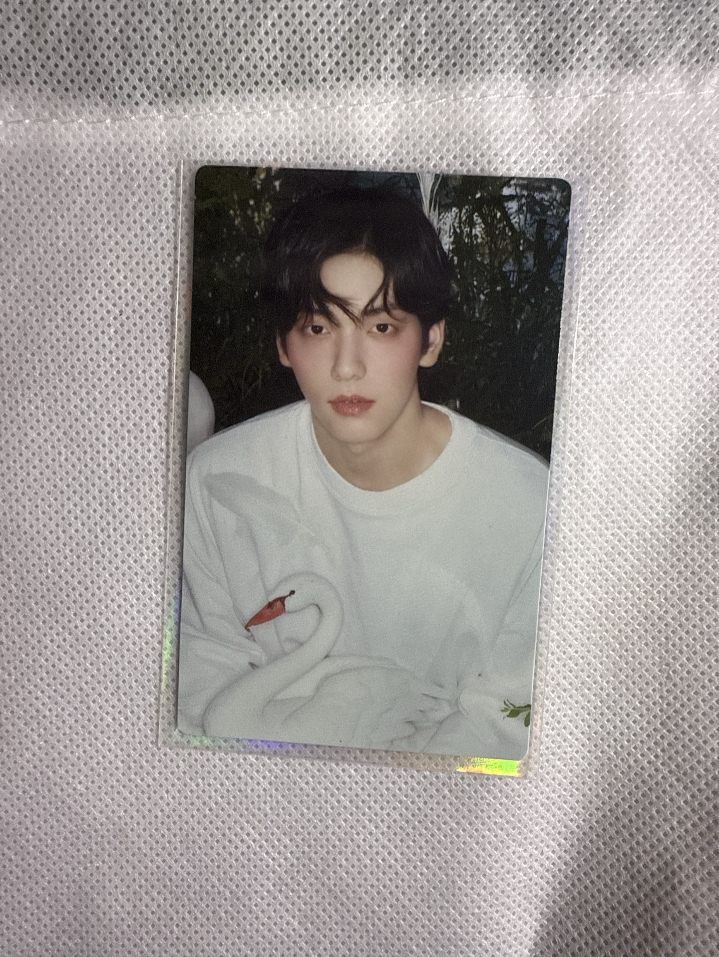 Starkissed 秀彬 官拍 專卡