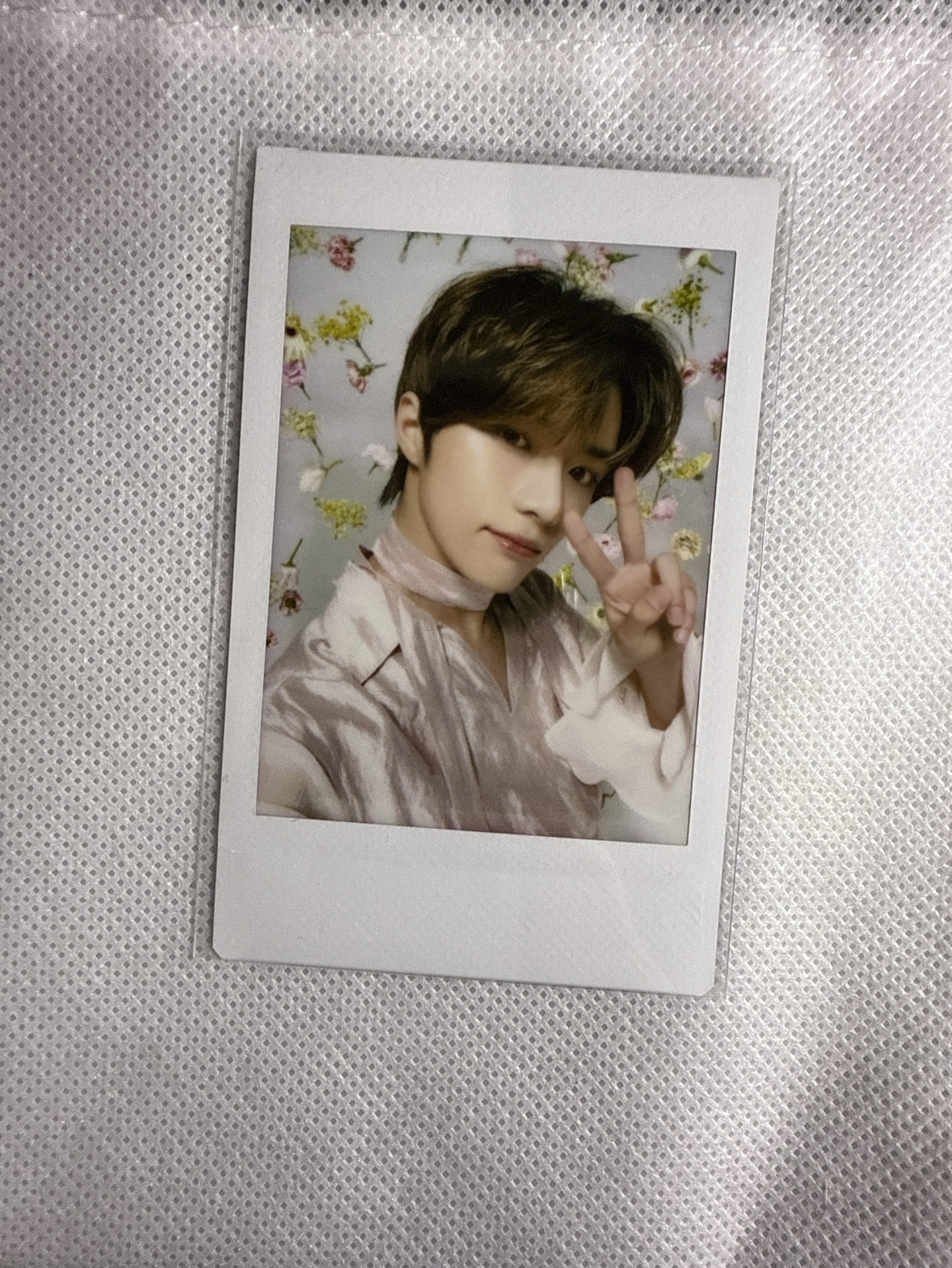 圭 巡演 拍立得